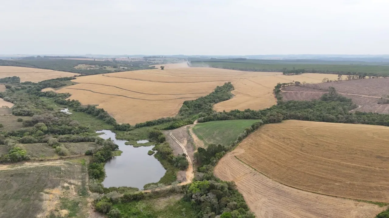 Fazenda à venda de 343 ha em Itapetininga, SP, Brasil