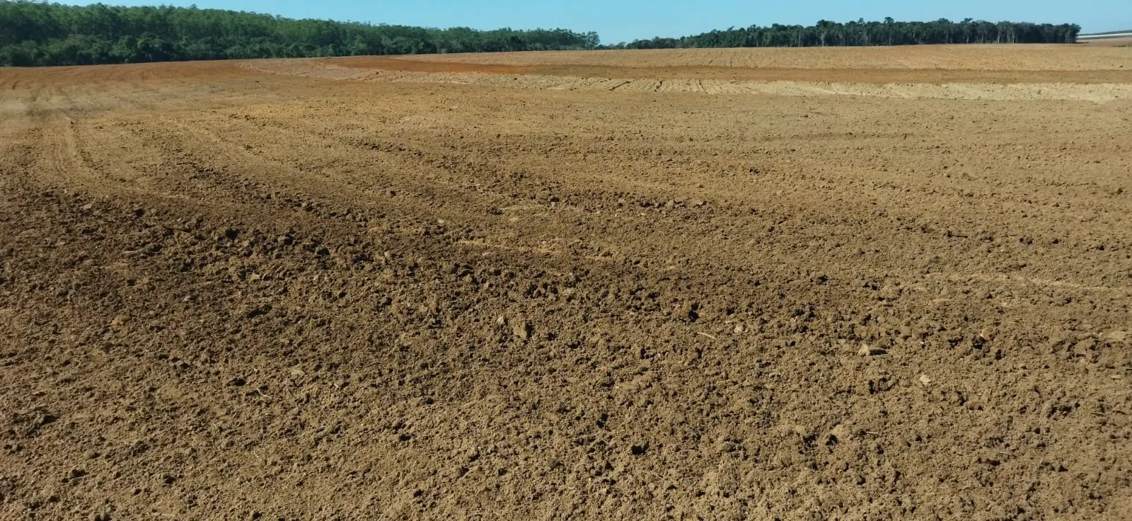 Farm for sale of 371 acres in Angatuba, SP, Brazil