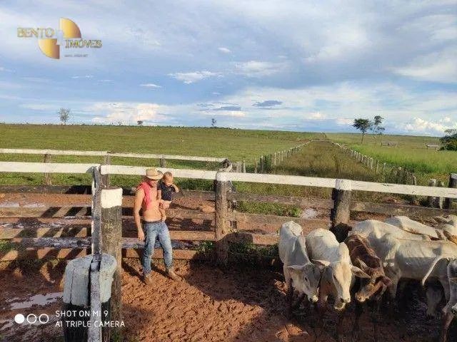 Farm for sale of 991 acres in Nobres, MT, Brazil