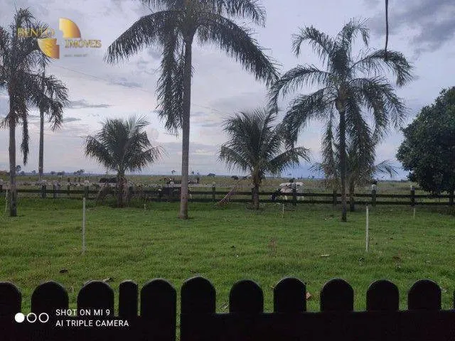 Farm for sale of 991 acres in Nobres, MT, Brazil