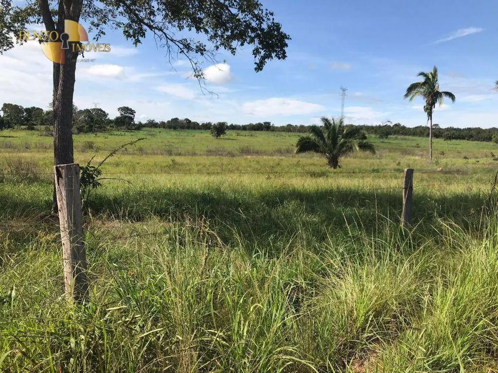 Fazenda à venda de 1.240 ha em Rosário Oeste, MT, Brasil