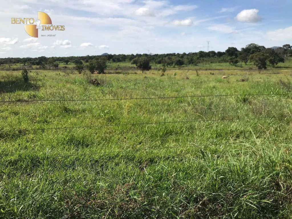 Fazenda à venda de 1.240 ha em Rosário Oeste, MT, Brasil