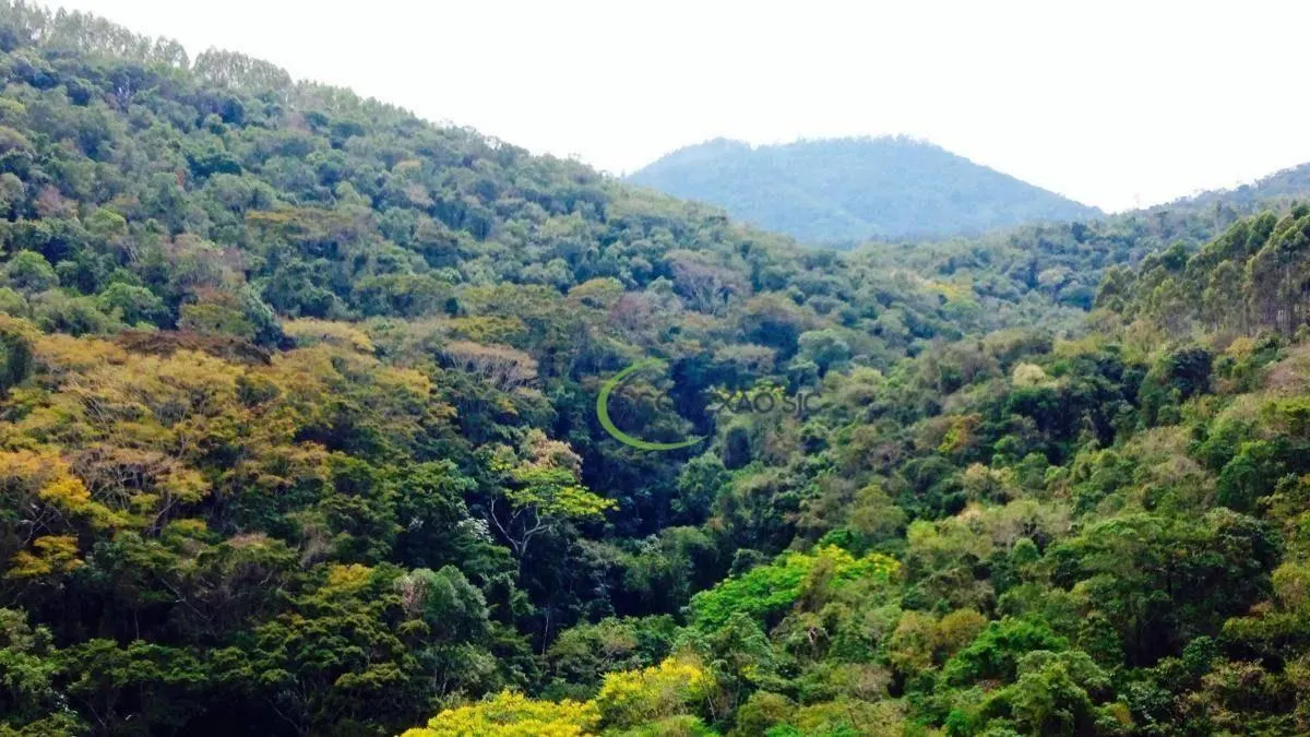 Fazenda à venda de 120 ha em Pindamonhangaba, SP, Brasil