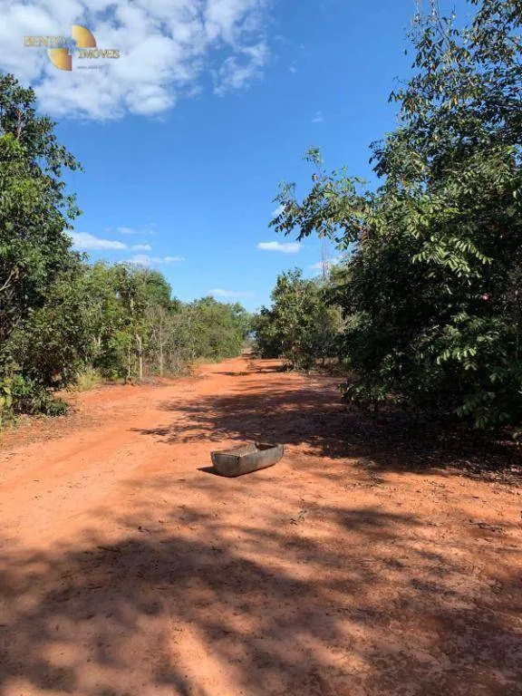 Farm for sale of 3,702 acres in Paranatinga, MT, Brazil