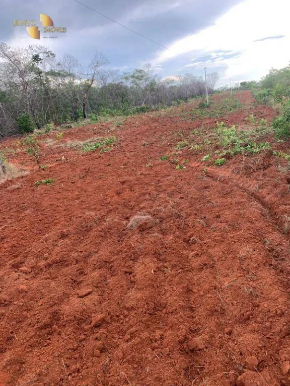 Farm for sale of 3,702 acres in Paranatinga, MT, Brazil