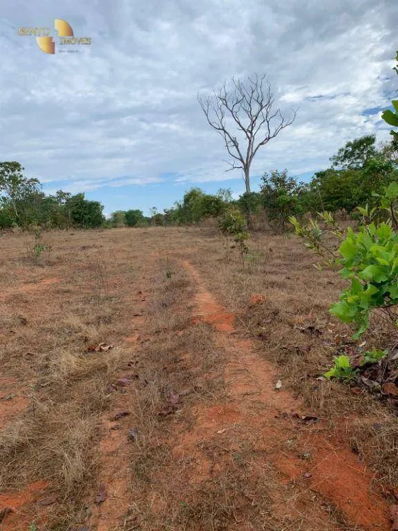 Farm for sale of 3,702 acres in Paranatinga, MT, Brazil
