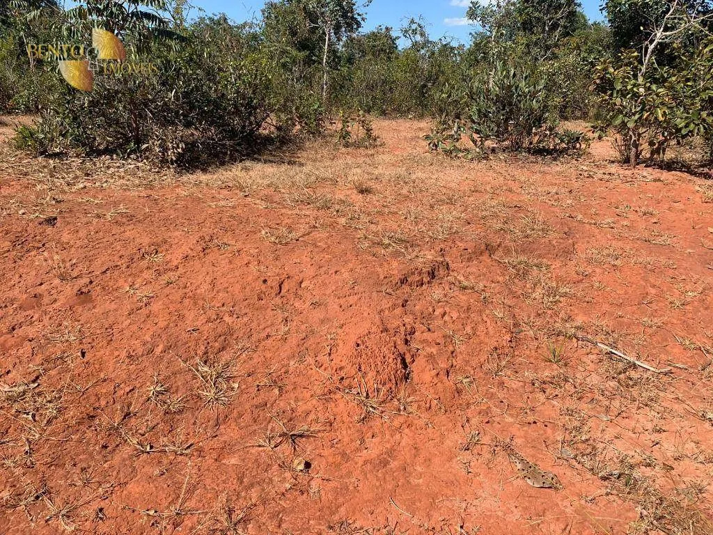 Farm for sale of 3,702 acres in Paranatinga, MT, Brazil