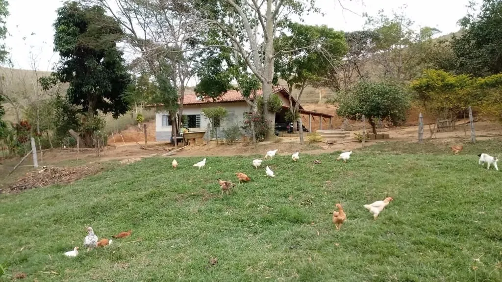 Small farm for sale of 12 acres in São José dos Campos, SP, Brazil