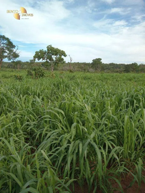 Fazenda à venda de 580 ha em Chapada dos Guimarães, MT, Brasil