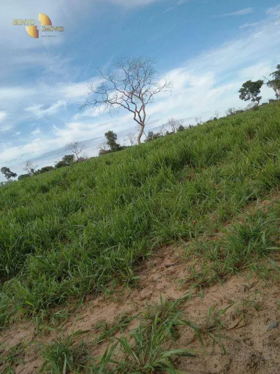 Fazenda à venda de 580 ha em Chapada dos Guimarães, MT, Brasil