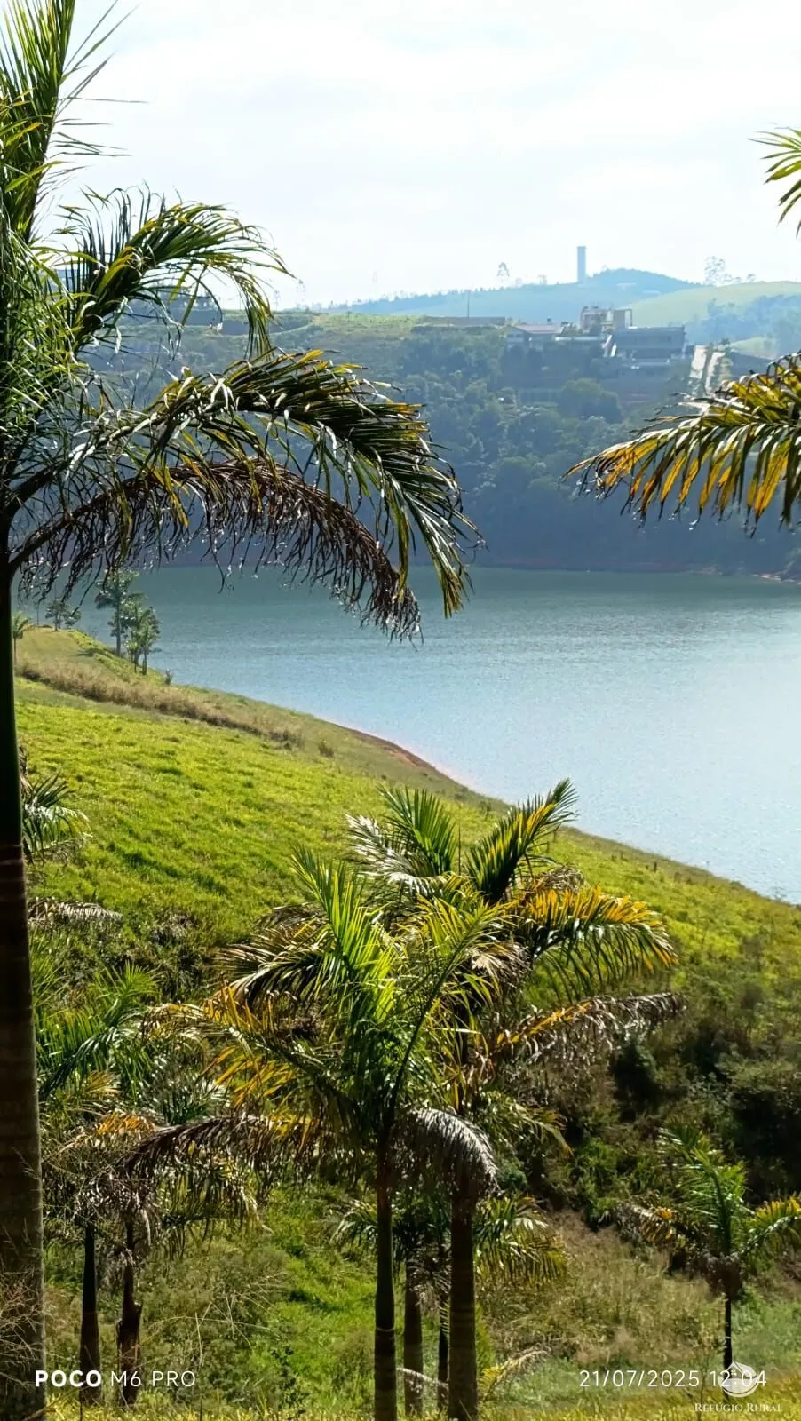 Small farm for sale of 72 acres in Santa Isabel, SP, Brazil