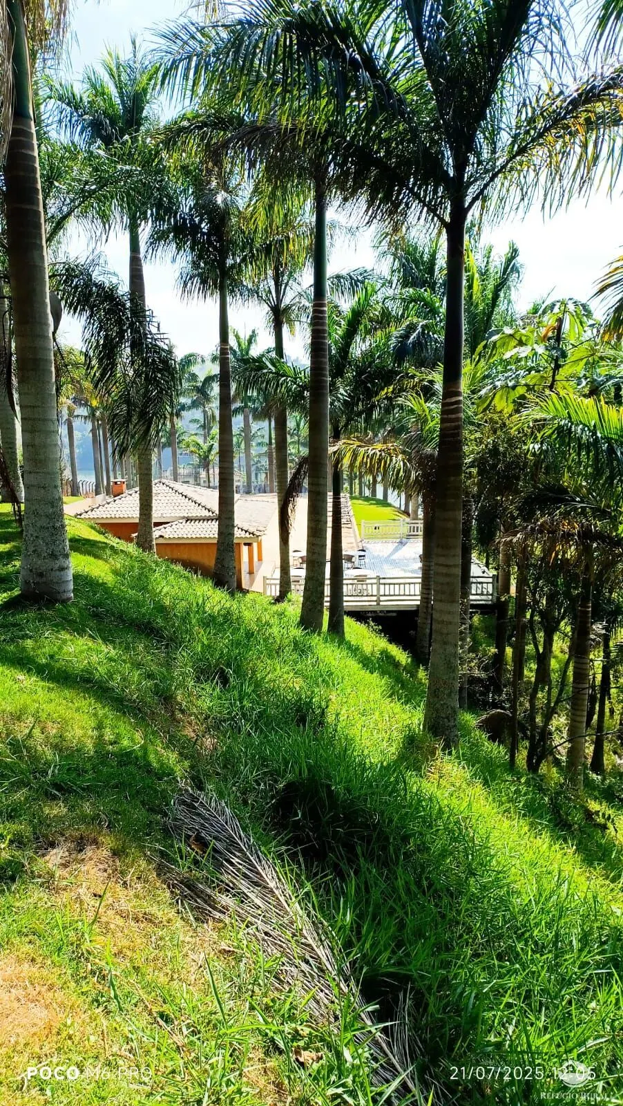 Small farm for sale of 72 acres in Santa Isabel, SP, Brazil