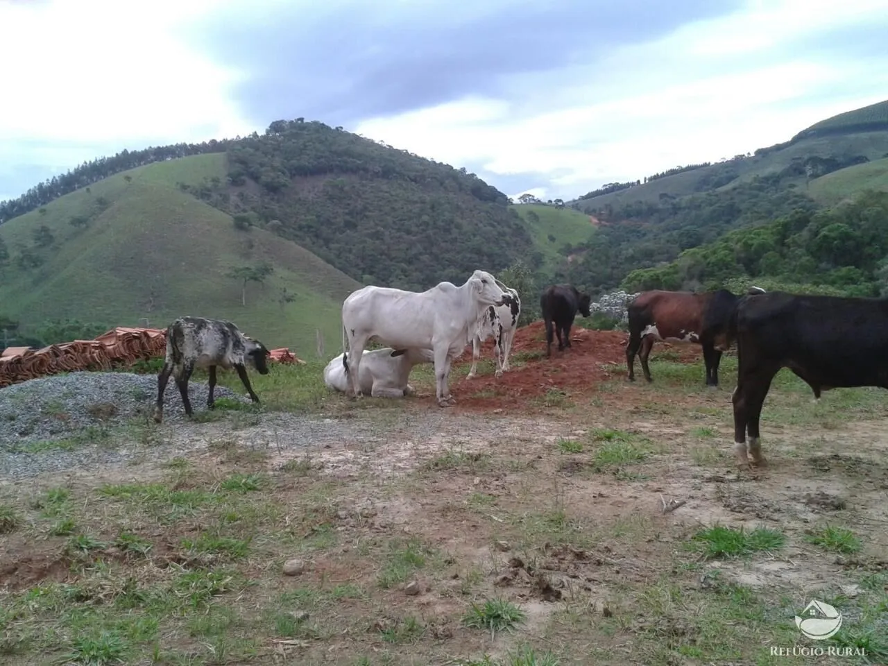Sítio à venda de 23 ha em Silveiras, SP, Brasil