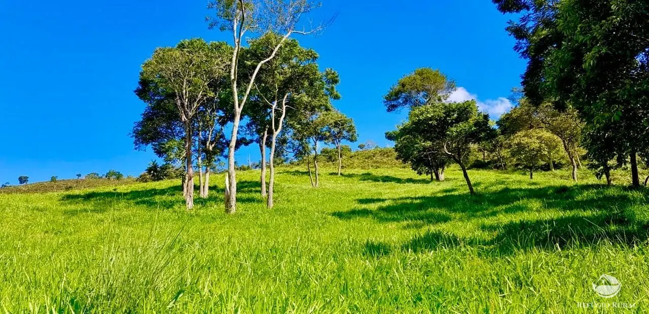 Sítio à venda de 23 ha em Silveiras, SP, Brasil