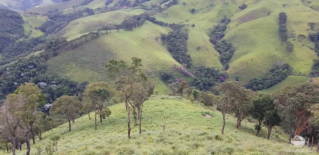Sítio à venda de 23 ha em Silveiras, SP, Brasil