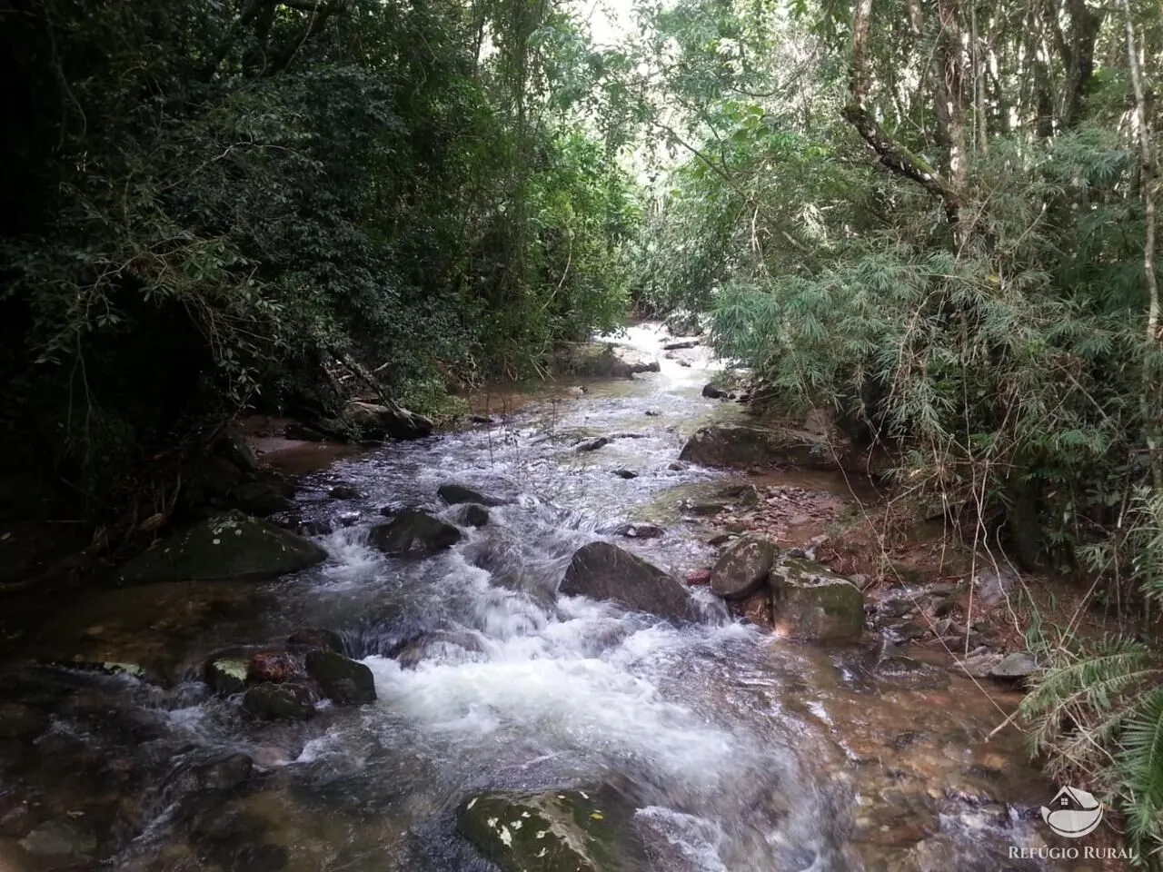 Sítio à venda de 23 ha em Silveiras, SP, Brasil