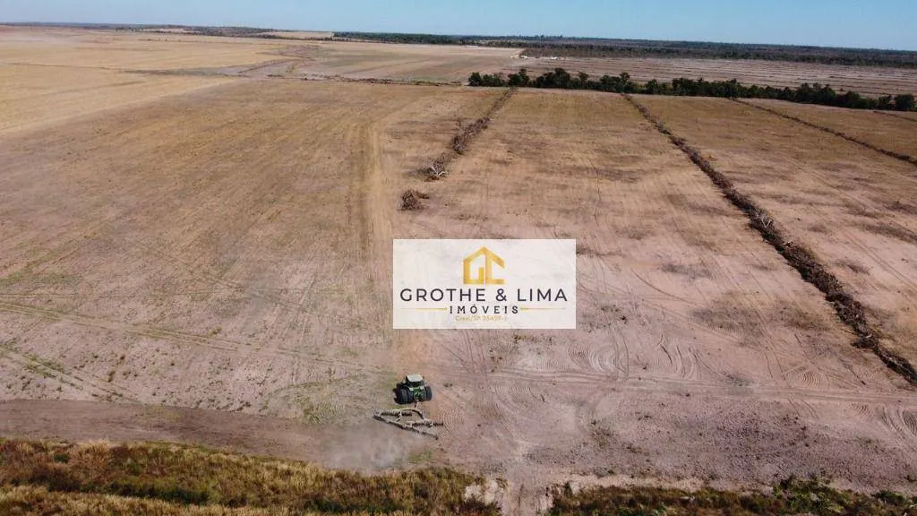 Fazenda à venda de 3.800 ha em Palmeirante, TO, Brasil