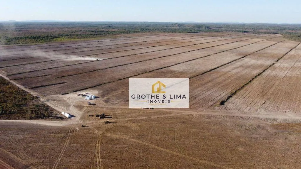 Fazenda à venda de 3.800 ha em Palmeirante, TO, Brasil