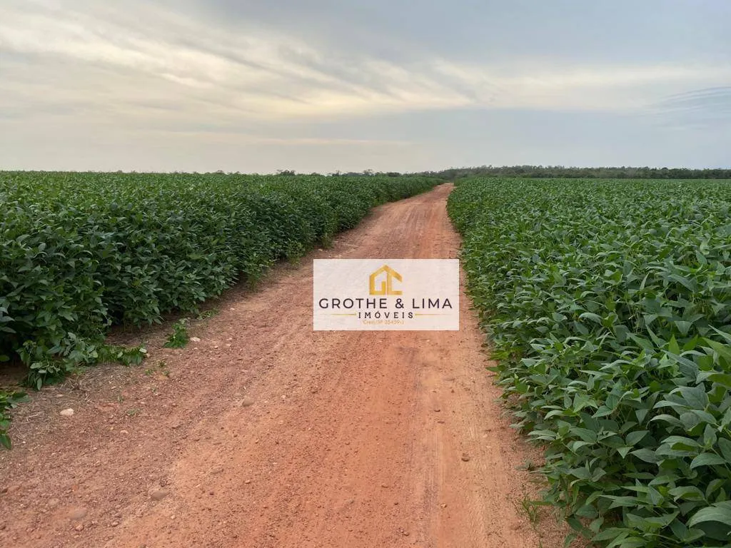 Fazenda à venda de 3.800 ha em Palmeirante, TO, Brasil