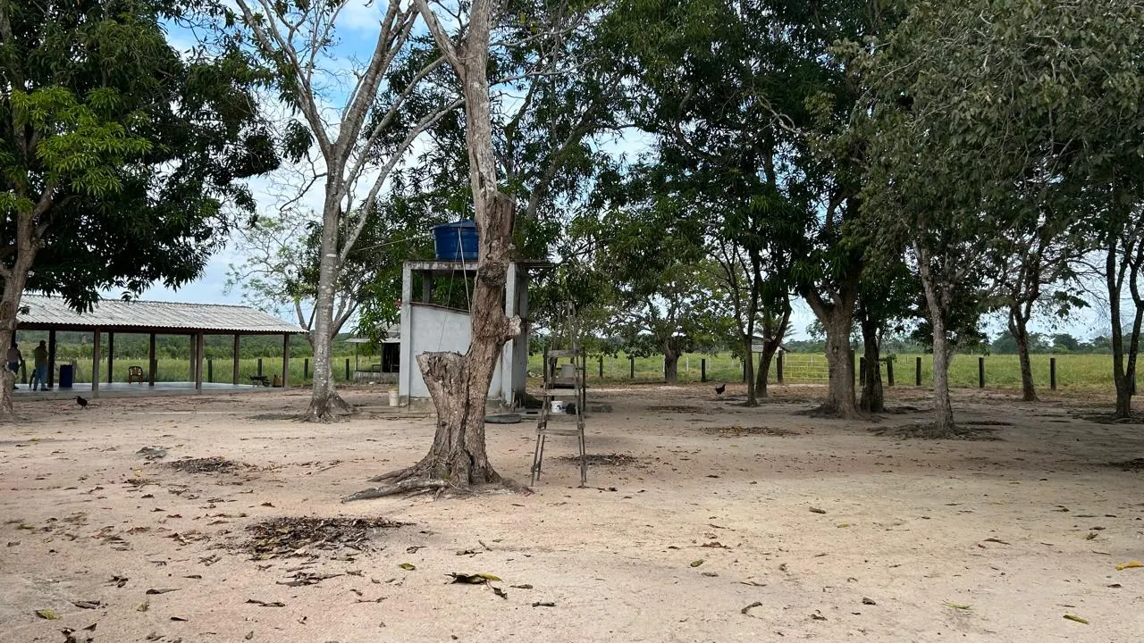 Fazenda à venda de 700 ha em Cantá, RR, Brasil