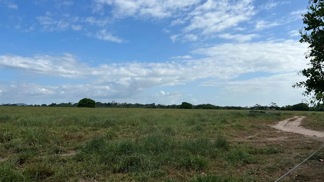 Fazenda à venda de 700 ha em Cantá, RR, Brasil