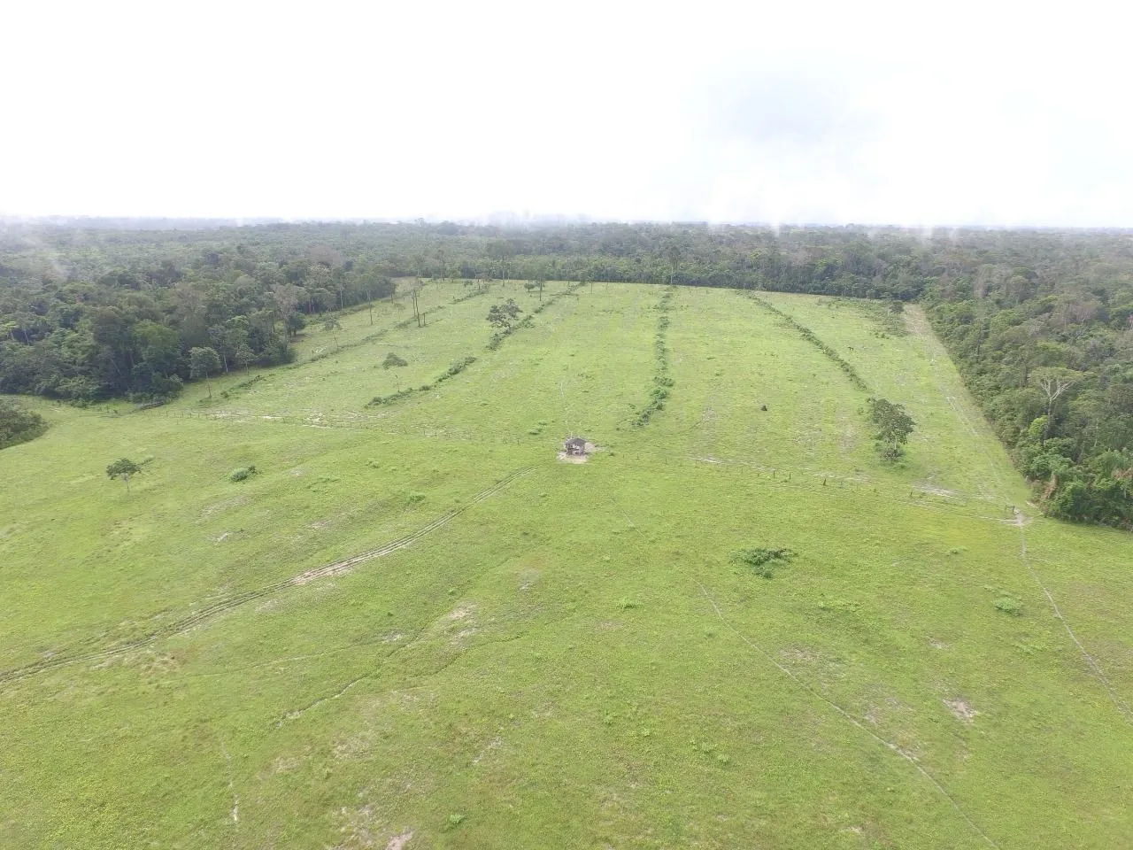 Fazenda à venda de 700 ha em Cantá, RR, Brasil