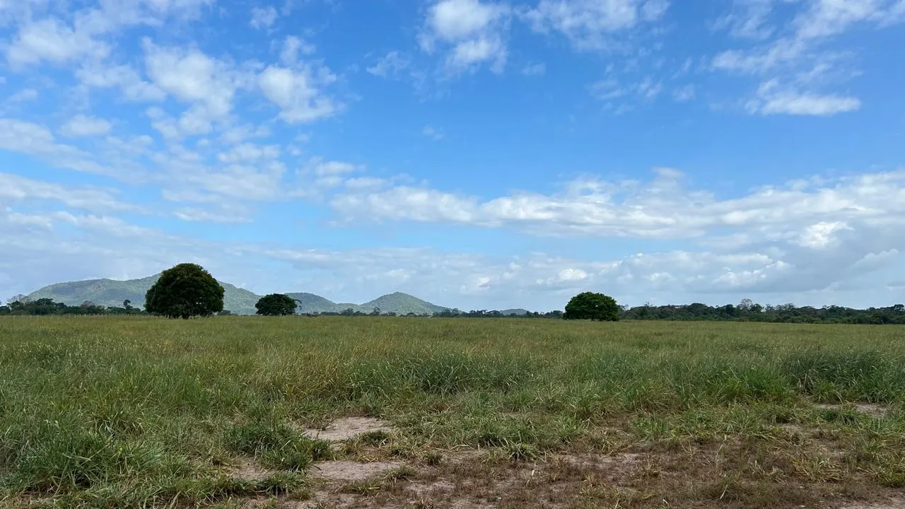 Fazenda à venda de 700 ha em Cantá, RR, Brasil