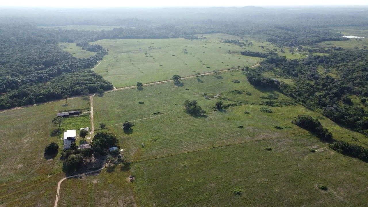 Fazenda à venda de 700 ha em Cantá, RR, Brasil