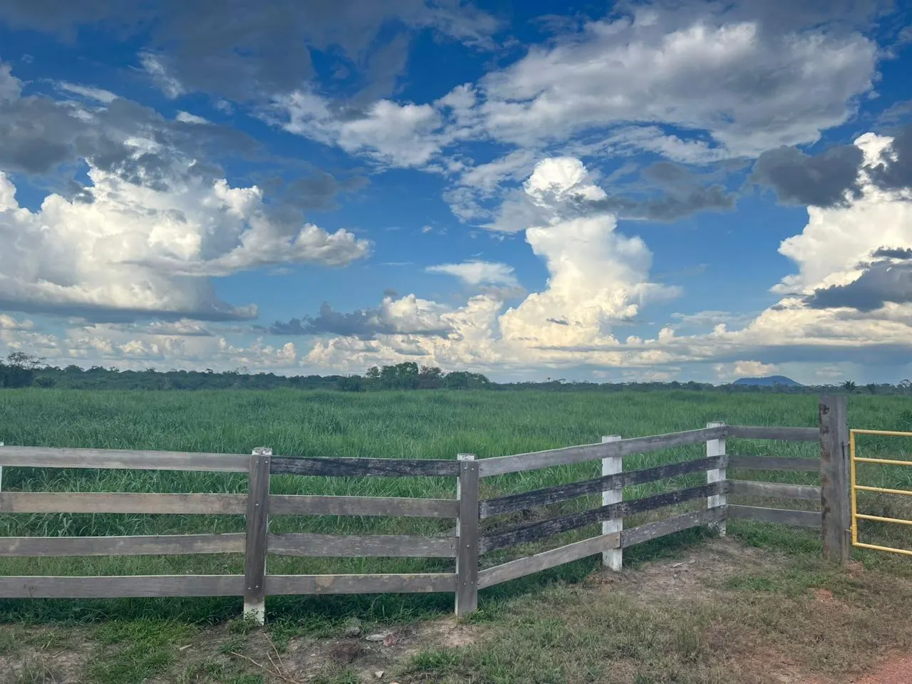 Fazenda à venda de 700 ha em Cantá, RR, Brasil