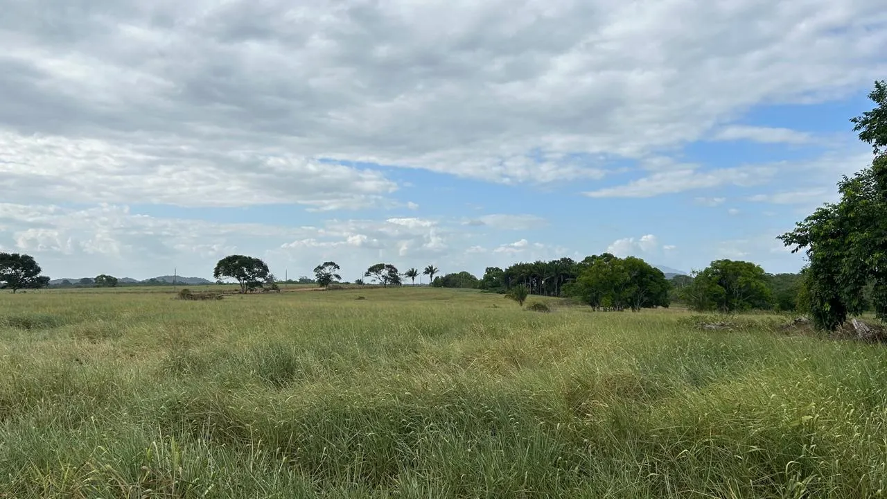 Fazenda à venda de 700 ha em Cantá, RR, Brasil