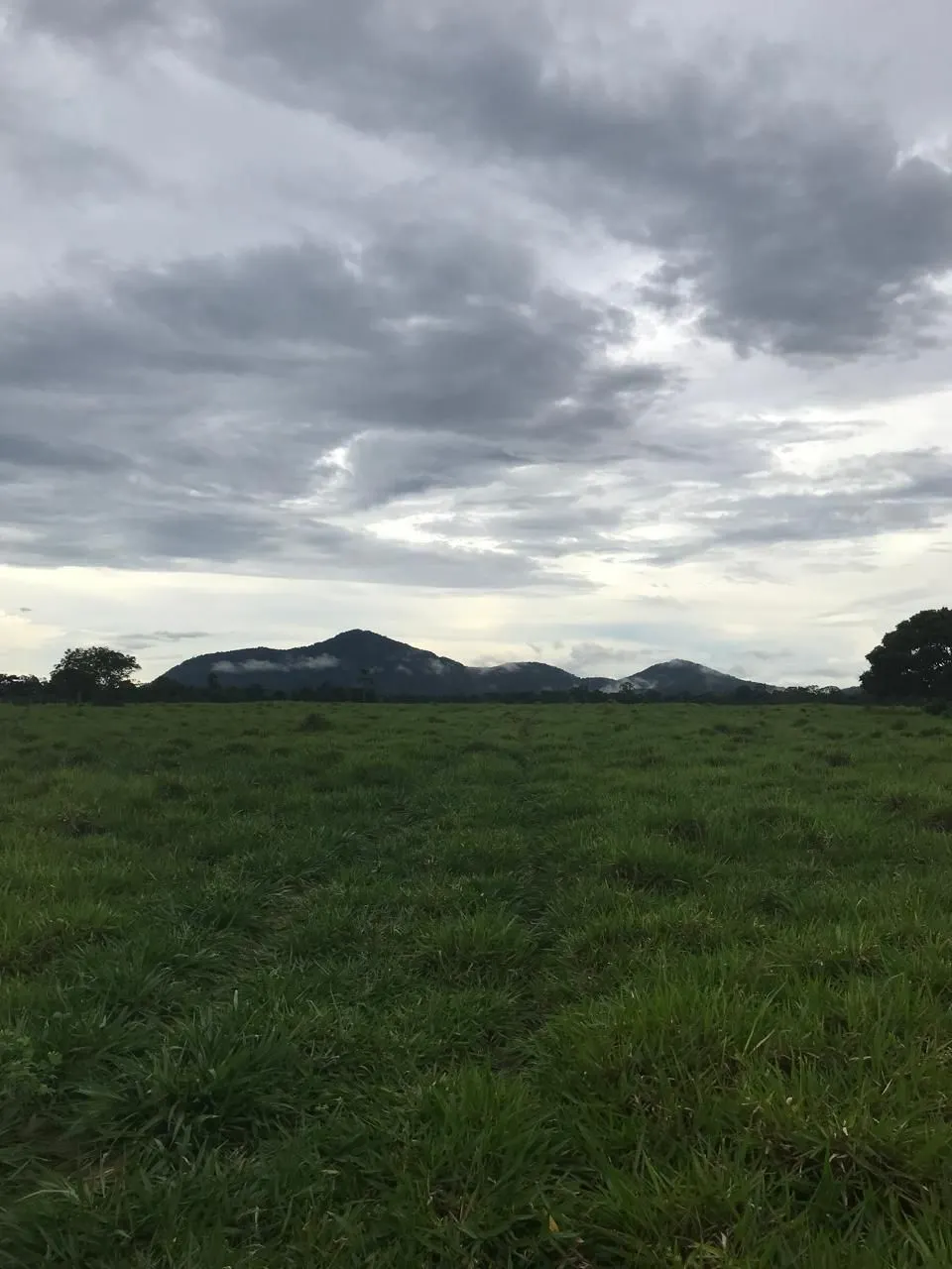 Fazenda à venda de 700 ha em Cantá, RR, Brasil