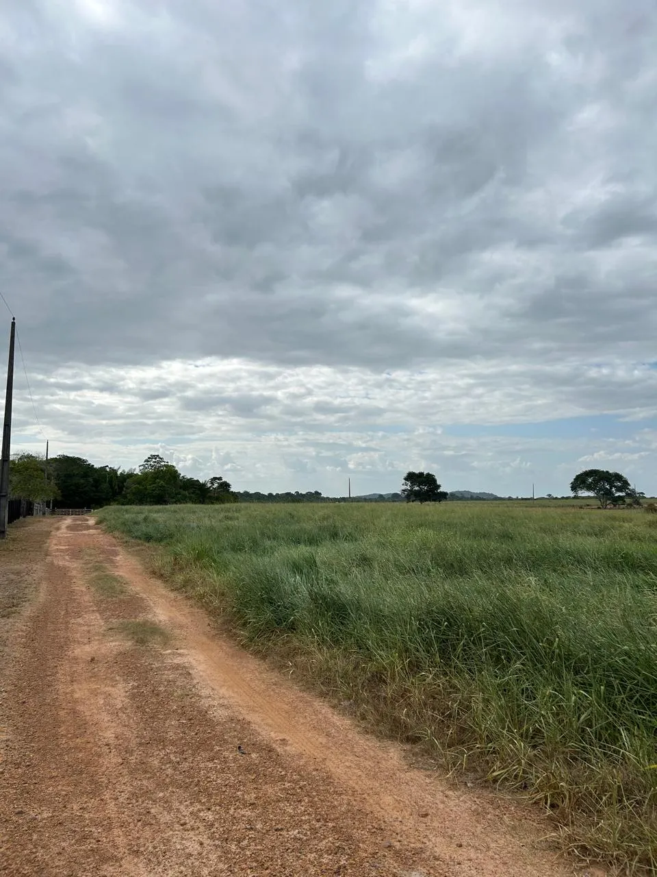 Fazenda à venda de 700 ha em Cantá, RR, Brasil