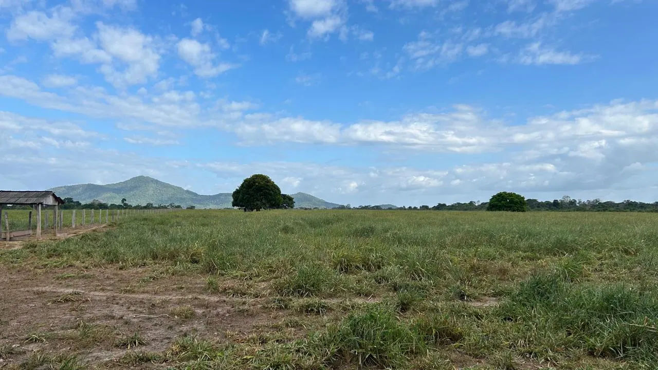 Fazenda à venda de 700 ha em Cantá, RR, Brasil
