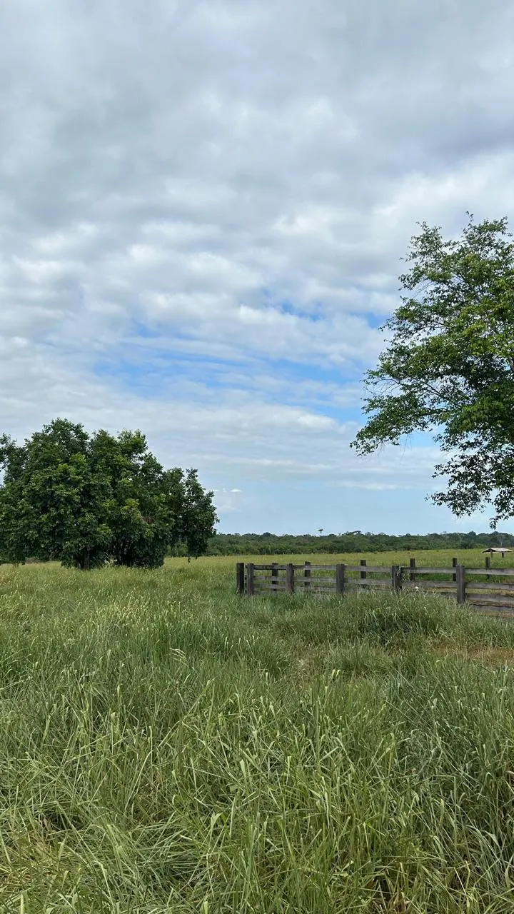 Fazenda à venda de 700 ha em Cantá, RR, Brasil