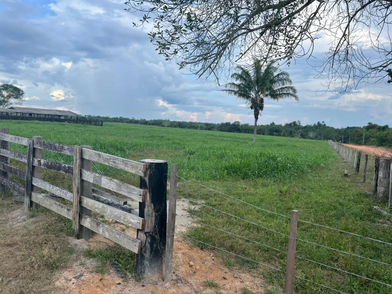 Fazenda à venda de 700 ha em Cantá, RR, Brasil