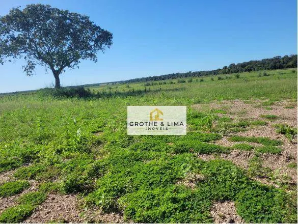 Fazenda à venda de 3.040 ha em Marianópolis do Tocantins, TO, Brasil