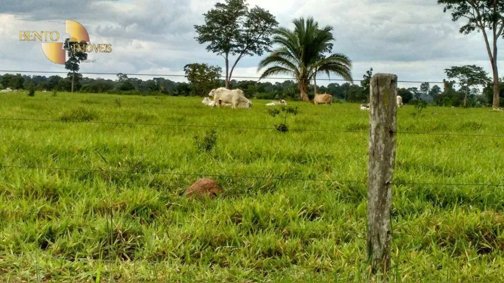 Fazenda à venda de 1.240 ha em Barra do Bugres, MT, Brasil