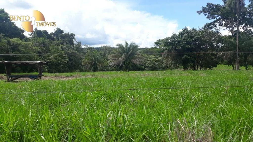 Fazenda à venda de 1.240 ha em Barra do Bugres, MT, Brasil