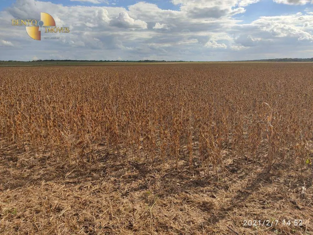 Farm for sale of 2,481 acres in Lucas do Rio Verde, MT, Brazil