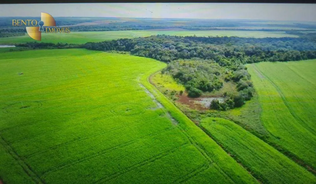 Farm for sale of 2,481 acres in Lucas do Rio Verde, MT, Brazil