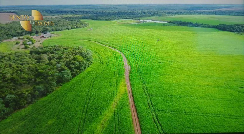 Farm for sale of 2,481 acres in Lucas do Rio Verde, MT, Brazil
