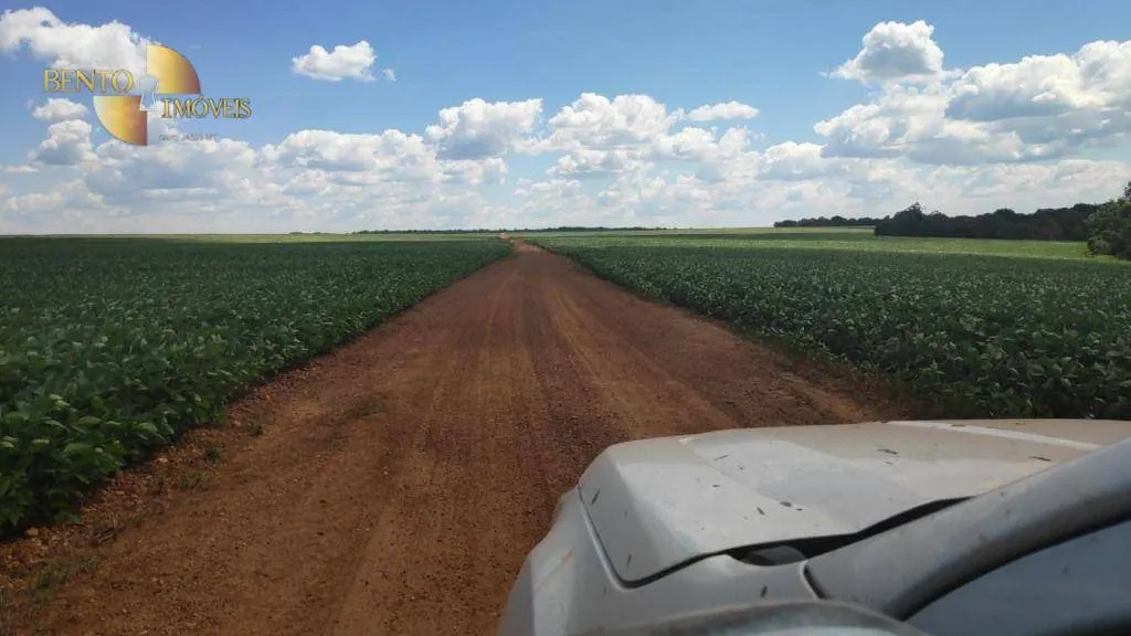 Farm for sale of 2,481 acres in Lucas do Rio Verde, MT, Brazil