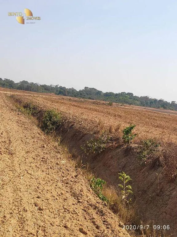 Farm for sale of 2,481 acres in Lucas do Rio Verde, MT, Brazil