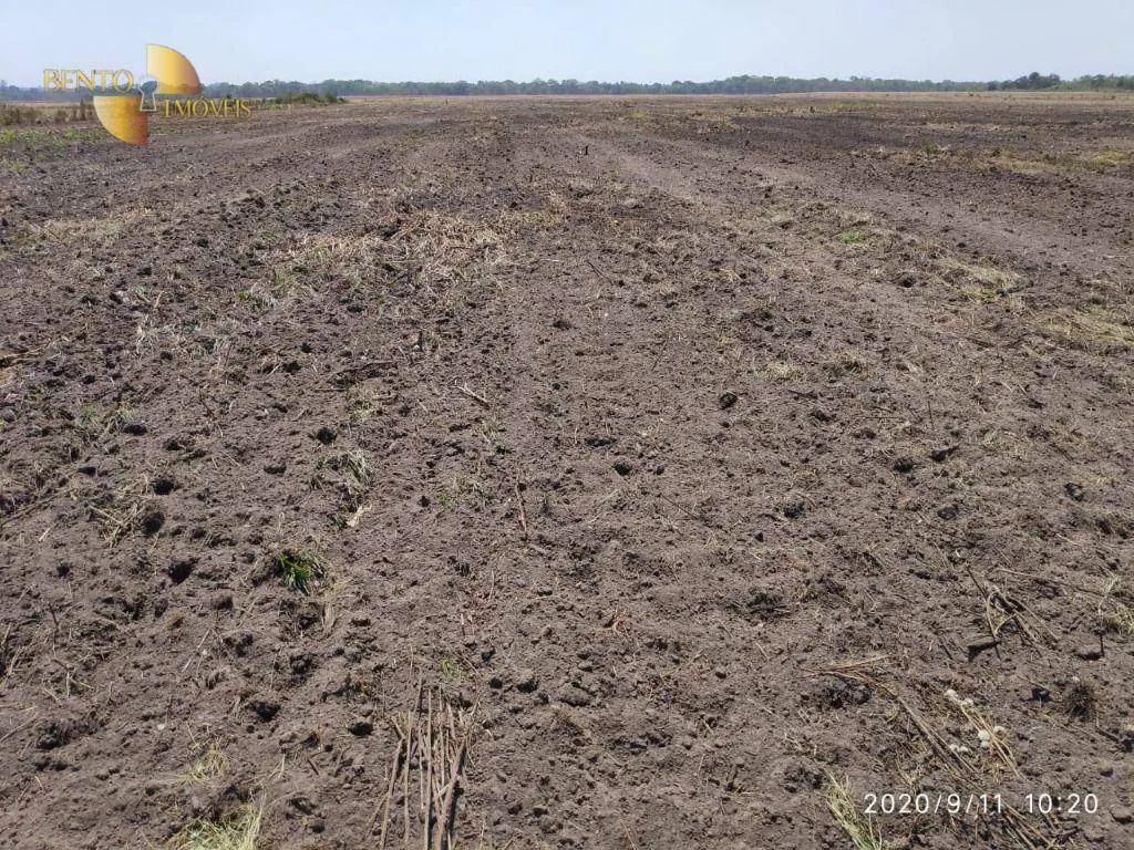 Farm for sale of 2,481 acres in Lucas do Rio Verde, MT, Brazil