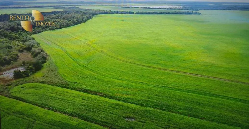 Fazenda à venda de 1.004 ha em Lucas do Rio Verde, MT, Brasil