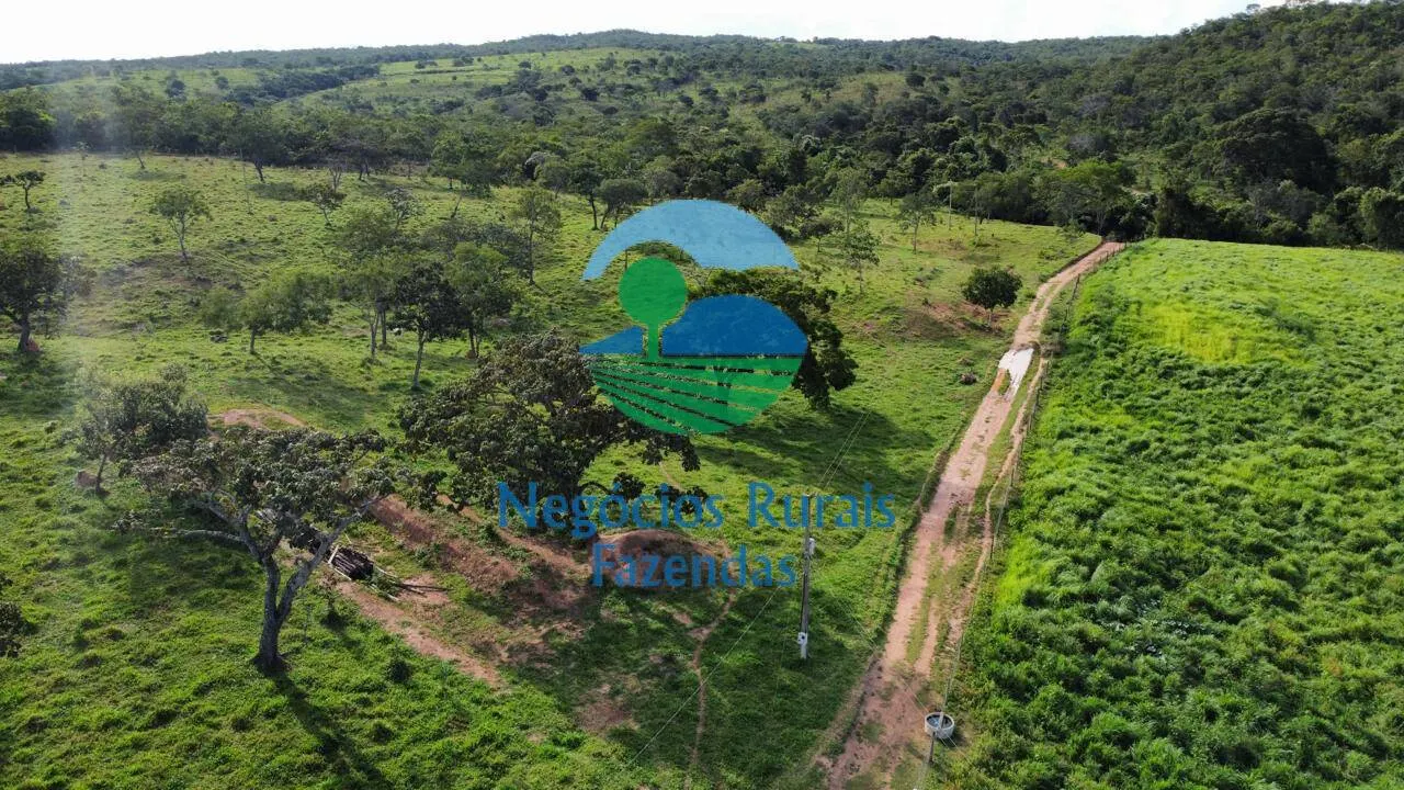 Fazenda à venda de 469 ha em Pires do Rio, GO, Brasil