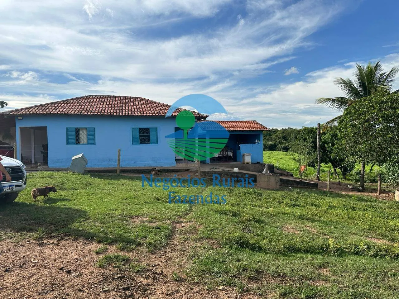 Fazenda à venda de 469 ha em Pires do Rio, GO, Brasil