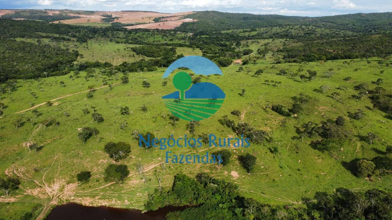 Fazenda à venda de 469 ha em Pires do Rio, GO, Brasil