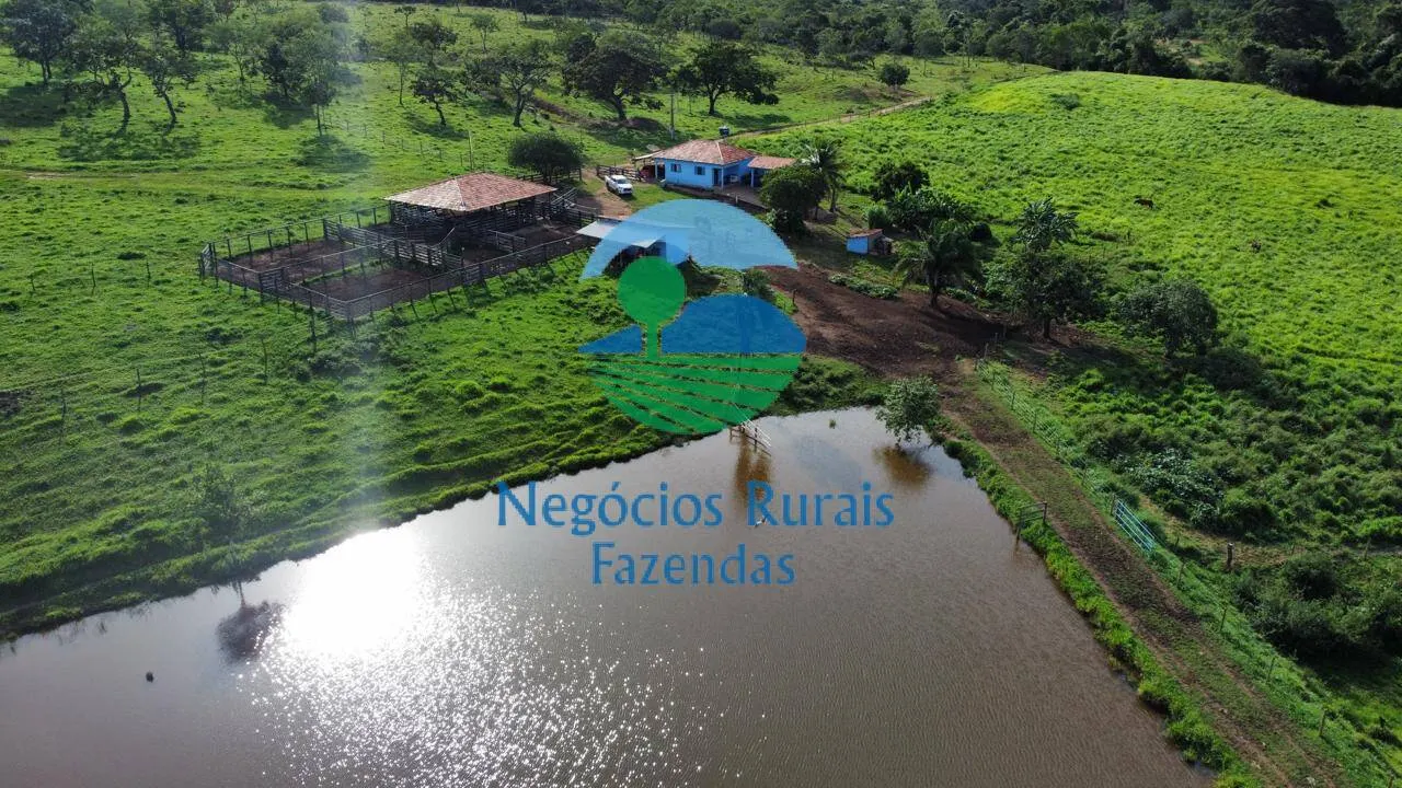 Fazenda à venda de 469 ha em Pires do Rio, GO, Brasil