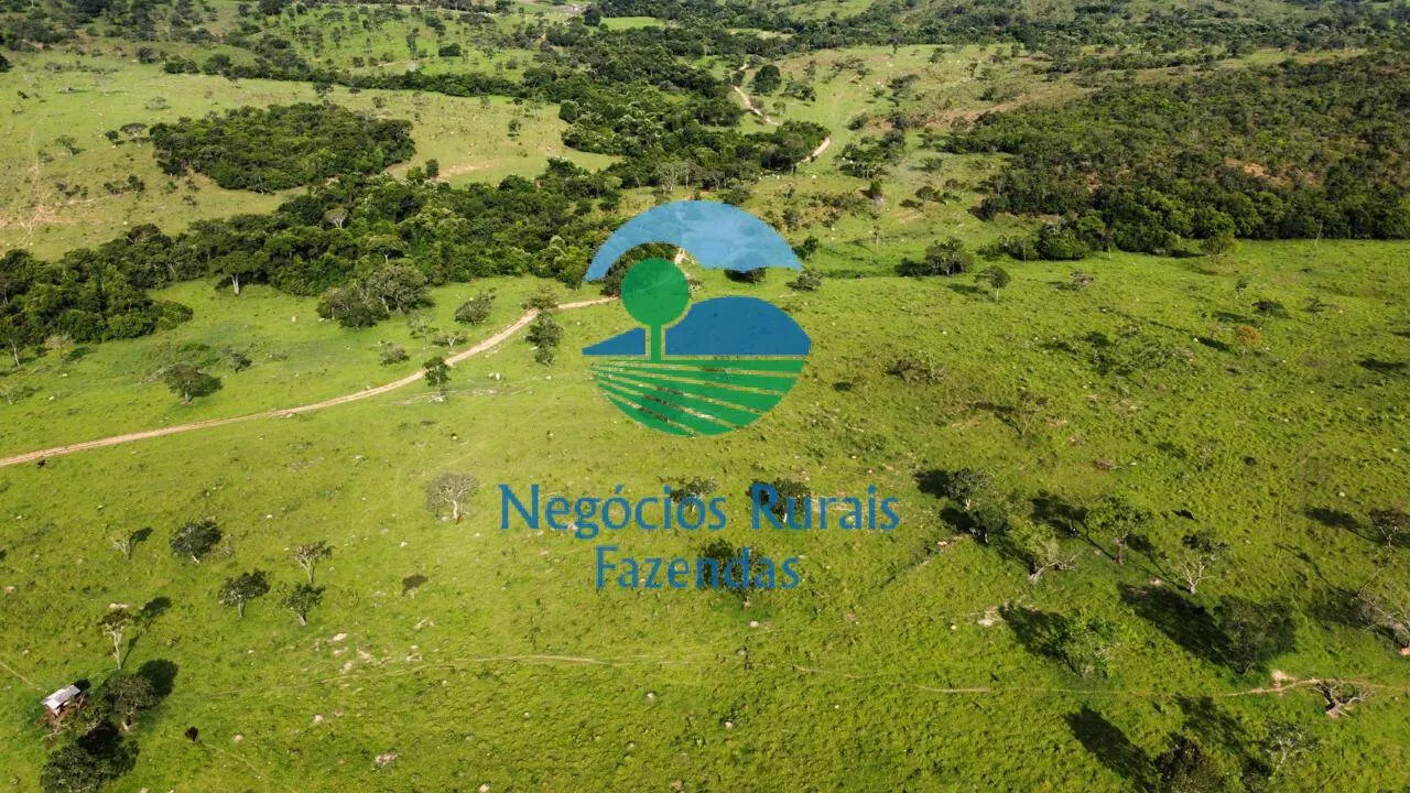 Fazenda à venda de 469 ha em Pires do Rio, GO, Brasil